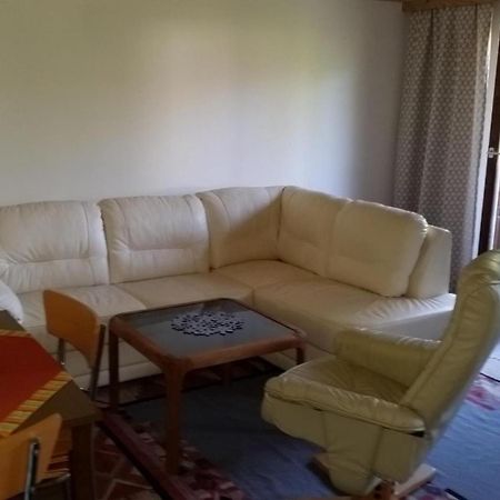 Appartement Haus Am Bach à Kirchberg en Tyrol Extérieur photo