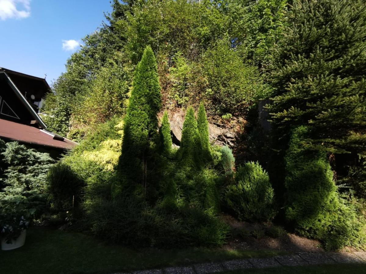 Appartement Haus Am Bach à Kirchberg en Tyrol Extérieur photo